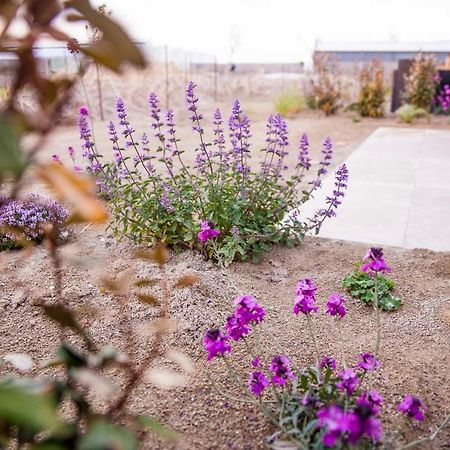Zeezand Recreatie Cozy Chalets Stolpen Zewnętrze zdjęcie